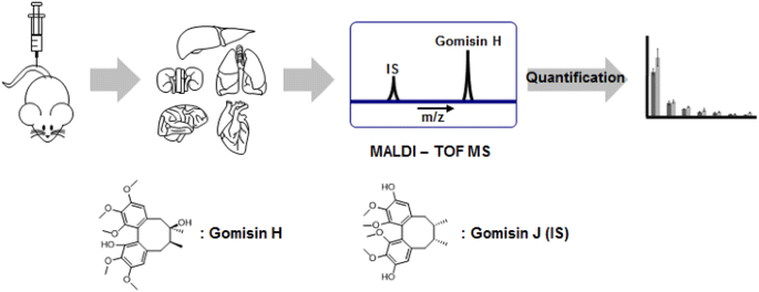MALDI-TOFMS技术解析天然产物在小鼠器官的生物分布规律-生物外包-科学指南针
